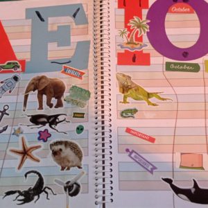 WhatsApp Image 2026-02-27 at 10.17.26 PM (1)